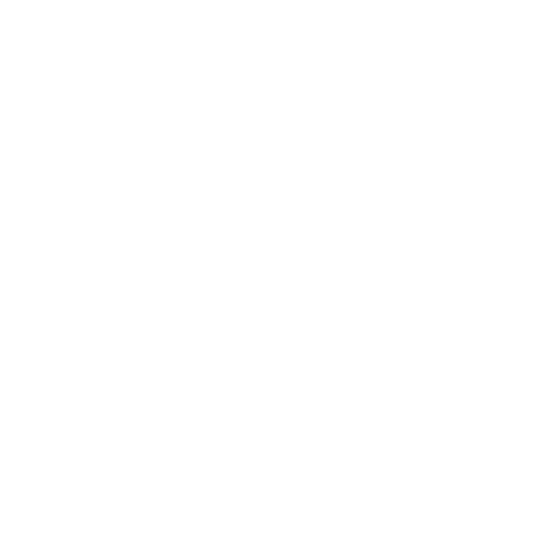 PS-SOLUTIONS Logo Blanco